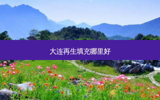 大连再生填充哪里好