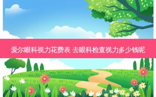 爱尔眼科视力花费表 去眼科检查视力多少钱呢
