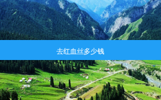 去红血丝多少钱
