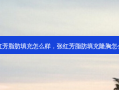 张红芳脂肪填充怎么样，张红芳脂肪填充隆胸怎么样