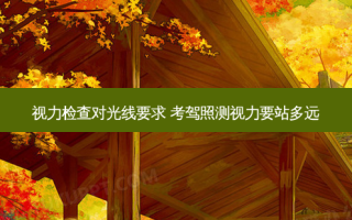 视力检查对光线要求 考驾照测视力要站多远