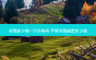溶脂多少钱一只价格表 手臂溶脂减肥多少钱