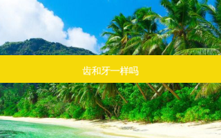 齿和牙一样吗