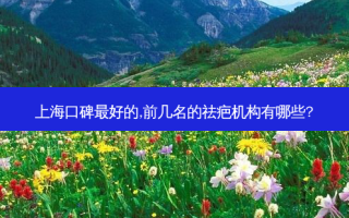 上海口碑好的,前几名的祛疤机构有哪些?