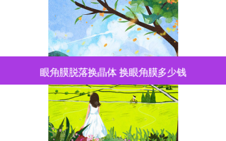 眼角膜脱落换晶体 换眼角膜多少钱