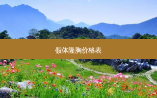 假体隆胸价格表