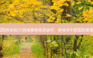 商洛祛痘|痘印|痘坑有名的整形医院排名前六!商洛雅裕致美诊所、商洛市中医医院整形科、商洛市中心医院整形骨三科