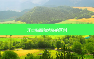 牙齿贴面和烤瓷的区别
