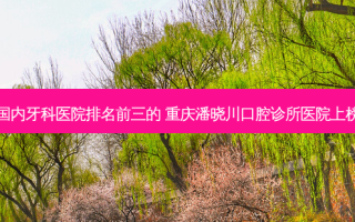 国内牙科医院排名前三的 重庆潘晓川口腔诊所医院上榜