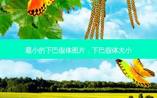  *** 小的下巴假体图片，下巴假体大小