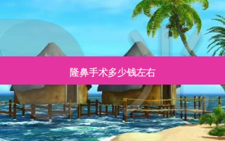 隆鼻手术多少钱左右