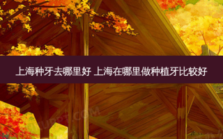 上海种牙去哪里好 上海在哪里做种植牙比较好