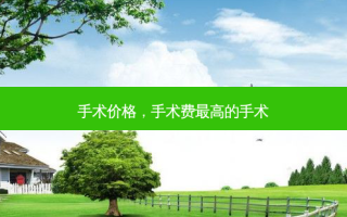 手术价格，手术费 *** 高的手术