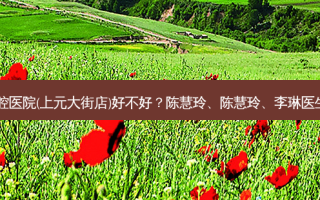南京博韵口腔医院(上元大街店)好不好？陈慧玲、陈慧玲、李琳医生技术好吗？