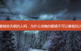 眼睛可以移植给失明的人吗，为什么动物的眼睛不可以移植到人的眼睛上
