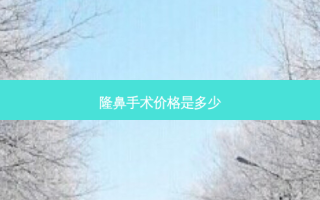 隆鼻手术价格是多少