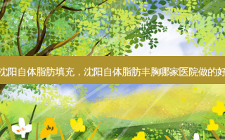 沈阳自体脂肪填充，沈阳自体脂肪丰胸哪家医院做的好