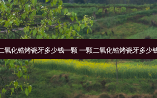 二氧化锆烤瓷牙多少钱一颗 一颗二氧化锆烤瓷牙多少钱
