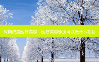 深圳依美医疗美容，医疗美容诊所可以做什么项目
