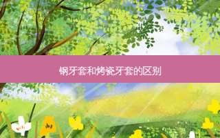 钢牙套和烤瓷牙套的区别