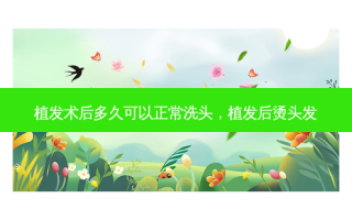 植发术后多久可以正常洗头，植发后烫头发