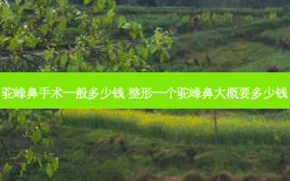 驼峰鼻手术一般多少钱 整形一个驼峰鼻大概要多少钱