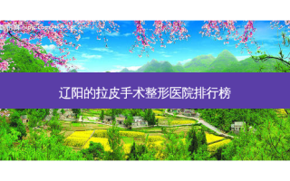 辽阳的拉皮手术整形医院排行榜