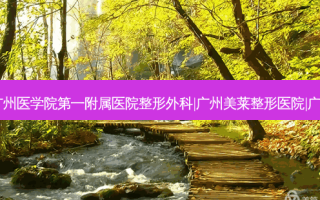 广州拉皮手术排名前十的整形医院:广州医学院第一附属医院整形外科|广州美莱整形医院|广州瑞港整形门诊部拉皮手术排名前三