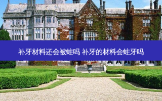 补牙材料还会被蛀吗 补牙的材料会蛀牙吗