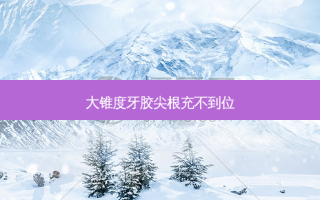 大锥度牙胶尖根充不到位