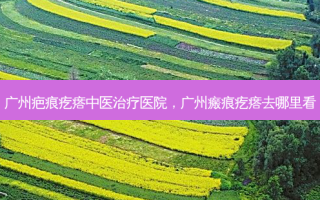 广州疤痕疙瘩中医治疗医院，广州瘢痕疙瘩去哪里看