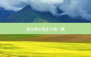 现在种牙要多少钱一颗