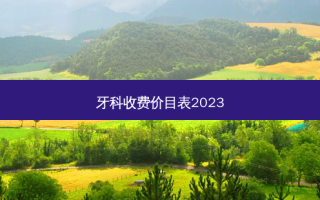 牙科收费价目表2023