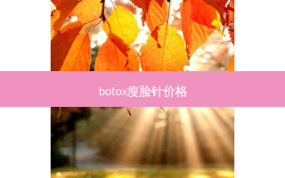 瘦脸针价格
