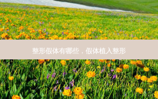 整形假体有哪些，假体植入整形