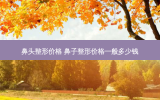 鼻头整形价格 鼻子整形价格一般多少钱