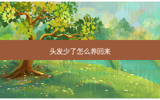 头发少了怎么养回来