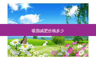 吸脂减肥价格多少