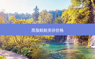 黑脸娃娃美容价格
