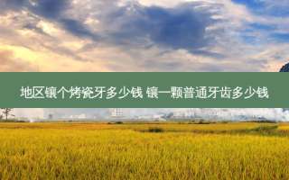 地区镶个烤瓷牙多少钱 镶一颗普通牙齿多少钱
