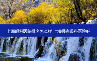 上海眼科医院排名怎么样 上海哪家眼科医院好