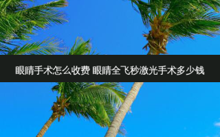 眼睛手术怎么收费 眼睛全飞秒激光手术多少钱