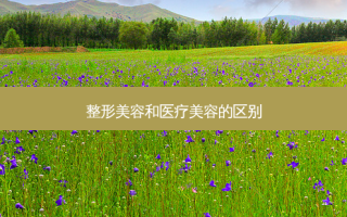 整形美容和医疗美容的区别