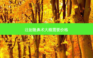 注射隆鼻术大概需要价格