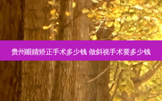 贵州眼睛矫正手术多少钱 做斜视手术要多少钱