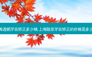上海透明牙齿矫正多少钱 上海隐形牙齿矫正的价格是多少啊