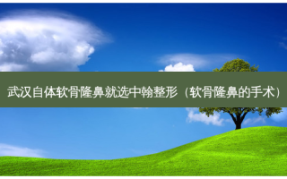 武汉自体软骨隆鼻就选中翰整形（软骨隆鼻的手术）