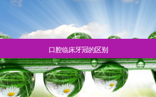 口腔临床牙冠的区别
