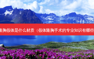 隆胸假体是什么材质（假体隆胸手术的专业知识有哪些）