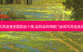 深圳耳再造整形医院前十强,深圳深圳博研门诊部耳再造高居第一